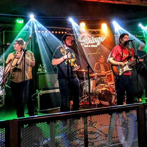 Three Rivers Music Festival - Artists