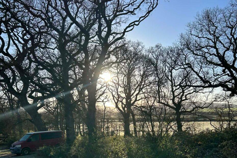 Three Rivers Wellbeing Centre (10)