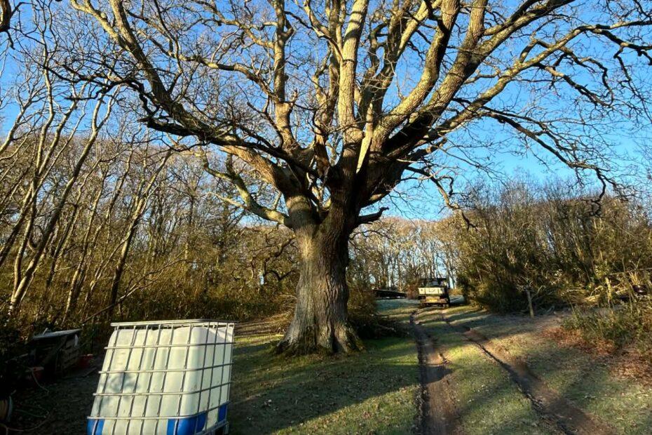 Three Rivers Wellbeing Centre (14)