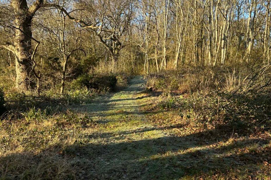 Three Rivers Wellbeing Centre (16)