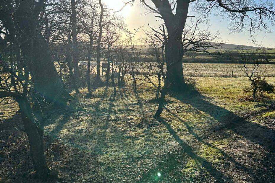 Three Rivers Wellbeing Centre (18)