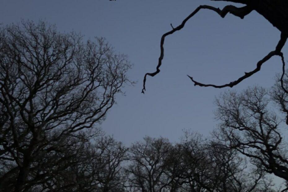 Three Rivers Wellbeing Centre (7)